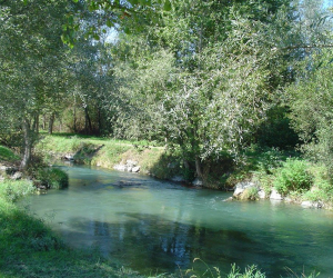6-e1644844764809